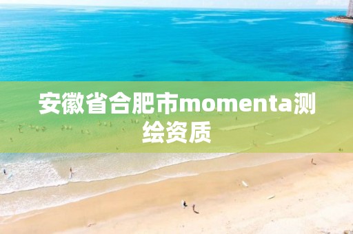 安徽省合肥市momenta測(cè)繪資質(zhì)