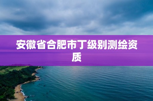 安徽省合肥市丁級別測繪資質