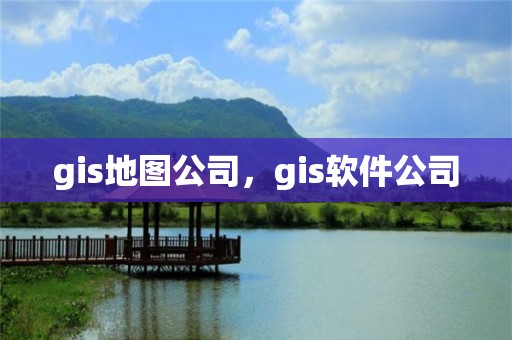 gis地圖公司，gis軟件公司