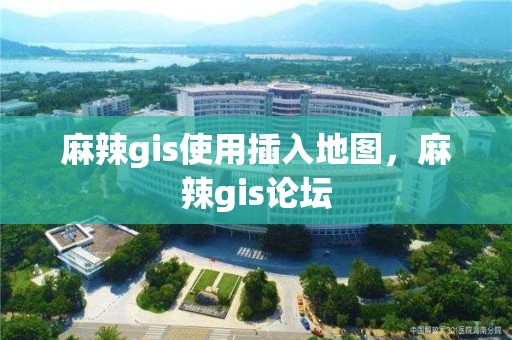 麻辣gis使用插入地圖，麻辣gis論壇