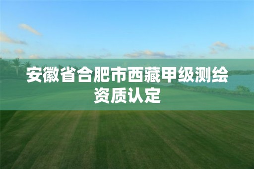 安徽省合肥市西藏甲級測繪資質認定