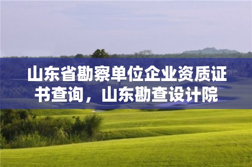 山東省勘察單位企業資質證書查詢，山東勘查設計院