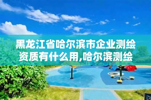 黑龍江省哈爾濱市企業(yè)測(cè)繪資質(zhì)有什么用,哈爾濱測(cè)繪公司招聘。