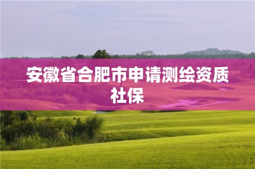 安徽省合肥市申請(qǐng)測(cè)繪資質(zhì)社保