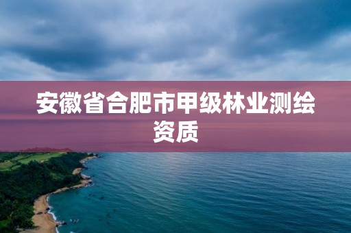 安徽省合肥市甲級林業測繪資質