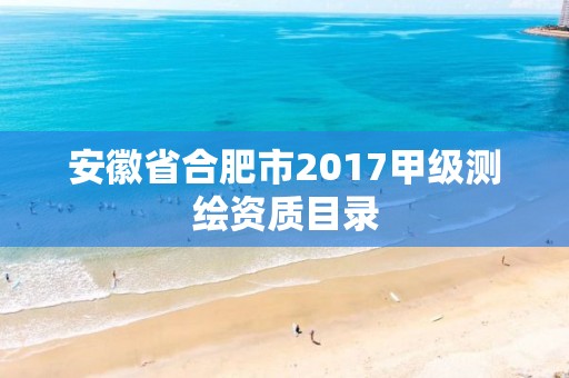 安徽省合肥市2017甲級測繪資質目錄