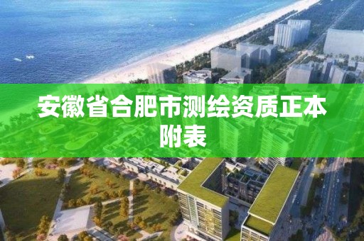 安徽省合肥市測繪資質(zhì)正本附表