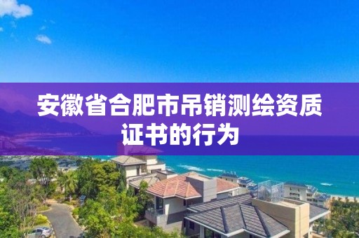 安徽省合肥市吊銷測繪資質證書的行為