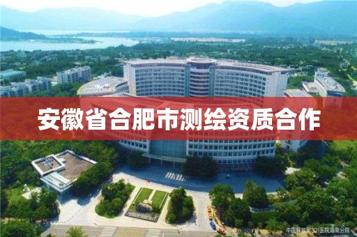 安徽省合肥市測繪資質合作