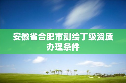 安徽省合肥市測繪丁級資質辦理條件