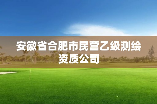 安徽省合肥市民營(yíng)乙級(jí)測(cè)繪資質(zhì)公司