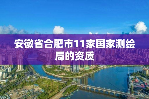 安徽省合肥市11家國家測繪局的資質