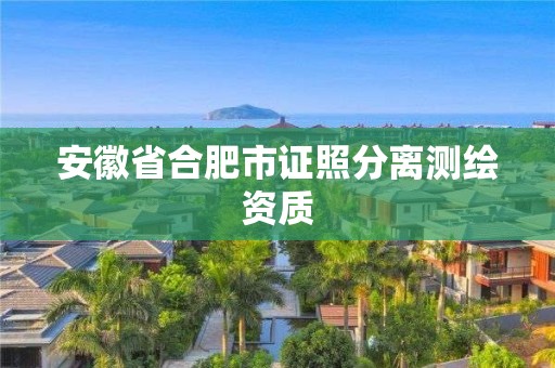 安徽省合肥市證照分離測(cè)繪資質(zhì)