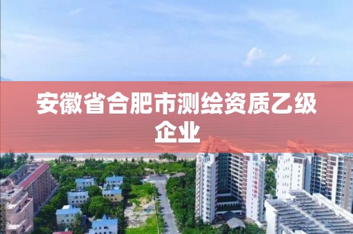 安徽省合肥市測繪資質乙級企業