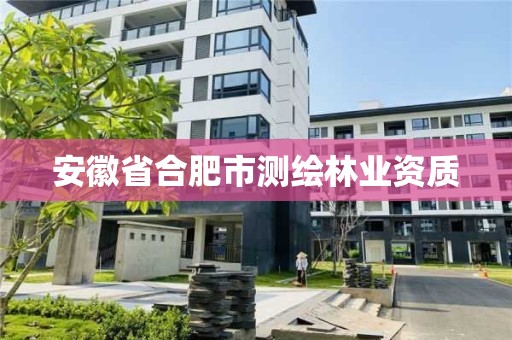 安徽省合肥市測繪林業(yè)資質(zhì)