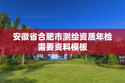 安徽省合肥市測繪資質年檢需要資料模板