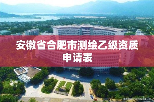 安徽省合肥市測繪乙級資質申請表