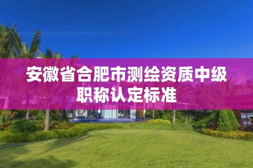 安徽省合肥市測繪資質中級職稱認定標準