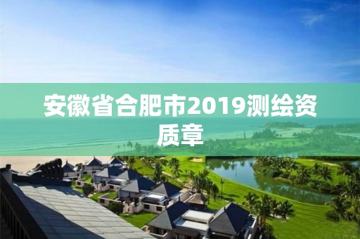 安徽省合肥市2019測繪資質章