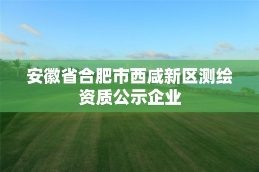 安徽省合肥市西咸新區測繪資質公示企業