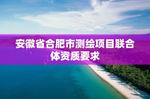 安徽省合肥市測繪項目聯合體資質要求