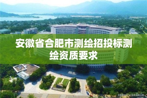 安徽省合肥市測繪招投標測繪資質要求