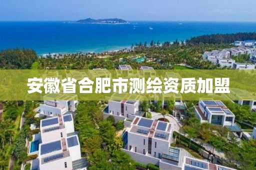 安徽省合肥市測(cè)繪資質(zhì)加盟