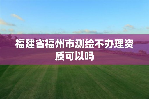 福建省福州市測繪不辦理資質可以嗎