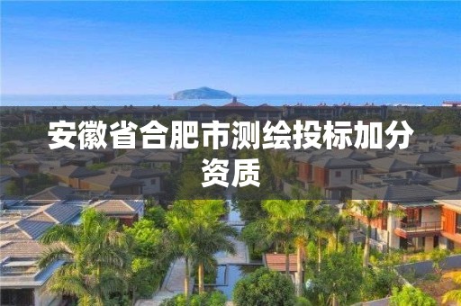 安徽省合肥市測繪投標加分資質(zhì)