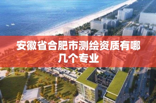 安徽省合肥市測繪資質有哪幾個專業