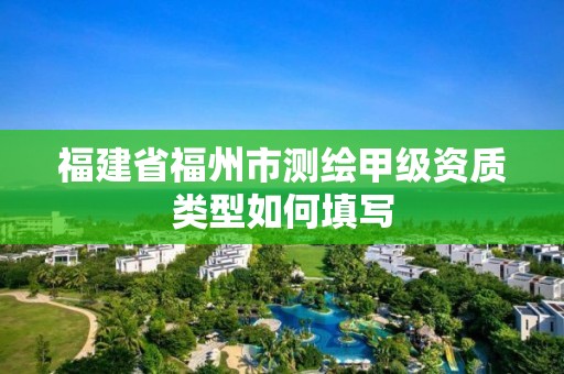 福建省福州市測繪甲級資質類型如何填寫