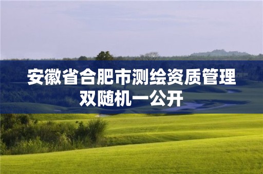 安徽省合肥市測(cè)繪資質(zhì)管理雙隨機(jī)一公開