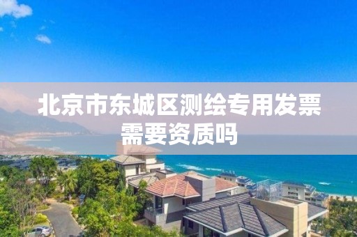 北京市東城區測繪專用發票需要資質嗎