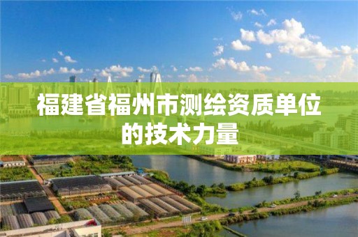 福建省福州市測繪資質單位的技術力量