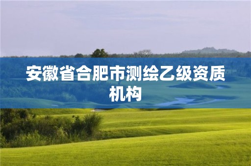 安徽省合肥市測(cè)繪乙級(jí)資質(zhì)機(jī)構(gòu)