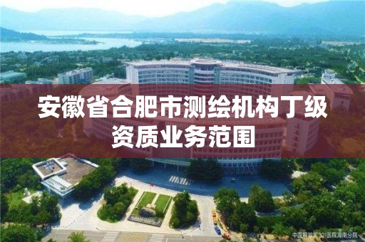 安徽省合肥市測繪機構丁級資質業務范圍