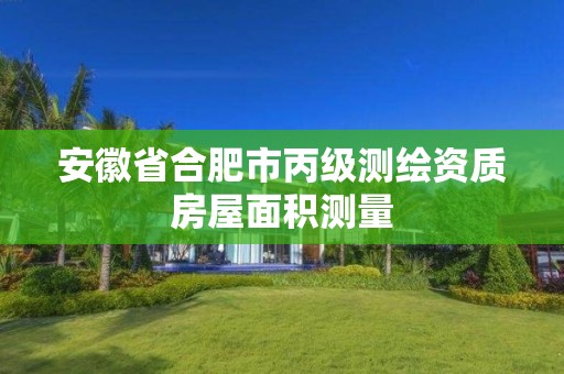 安徽省合肥市丙級測繪資質房屋面積測量