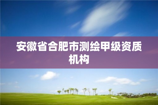 安徽省合肥市測繪甲級資質機構