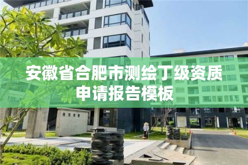 安徽省合肥市測繪丁級資質申請報告模板