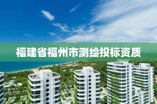 福建省福州市測繪投標資質