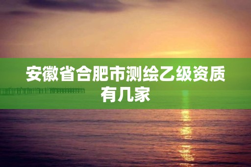 安徽省合肥市測繪乙級資質有幾家