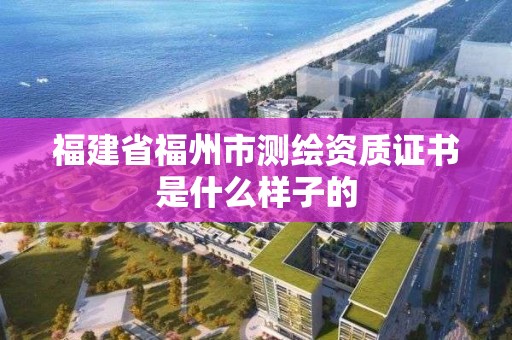 福建省福州市測繪資質證書是什么樣子的