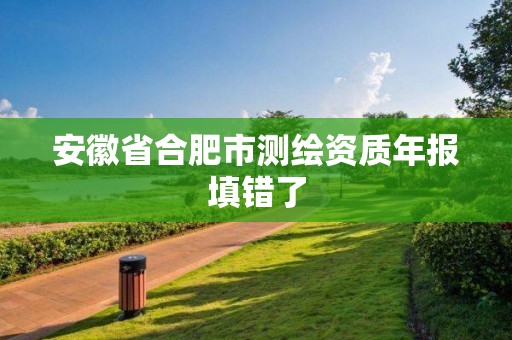 安徽省合肥市測(cè)繪資質(zhì)年報(bào)填錯(cuò)了