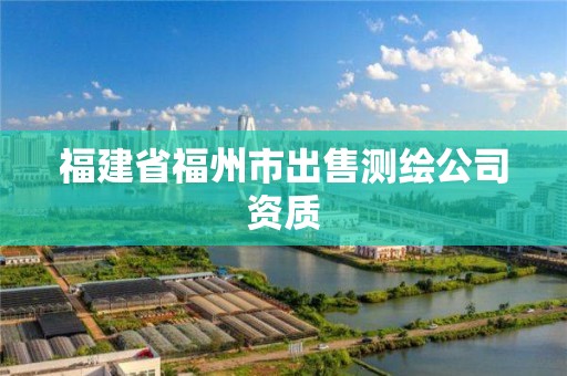 福建省福州市出售測繪公司資質