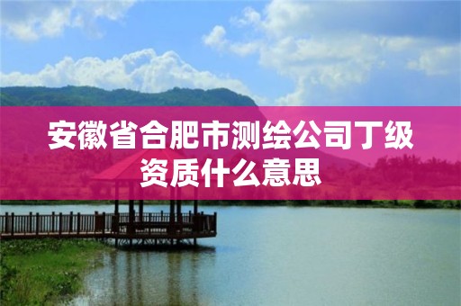 安徽省合肥市測繪公司丁級資質什么意思