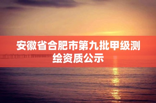 安徽省合肥市第九批甲級測繪資質公示