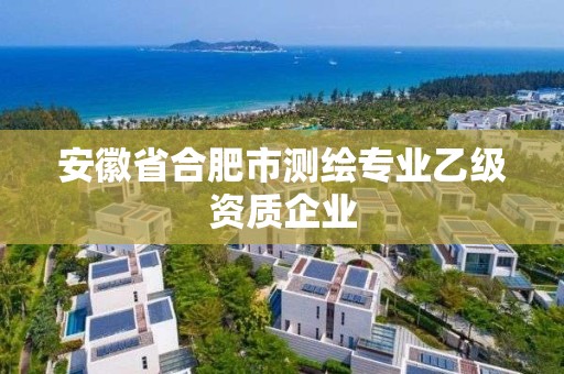 安徽省合肥市測繪專業乙級資質企業