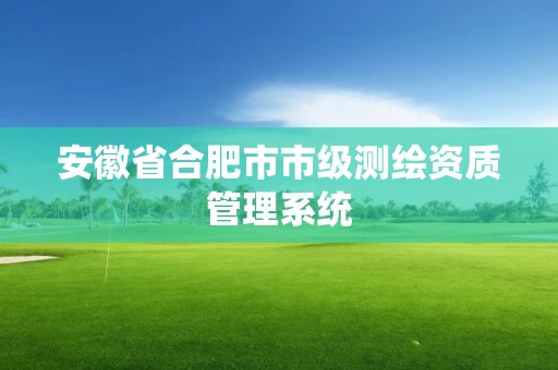 安徽省合肥市市級測繪資質管理系統