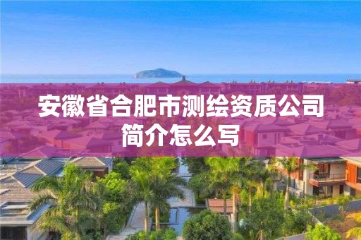 安徽省合肥市測繪資質公司簡介怎么寫