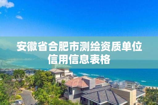 安徽省合肥市測繪資質單位信用信息表格